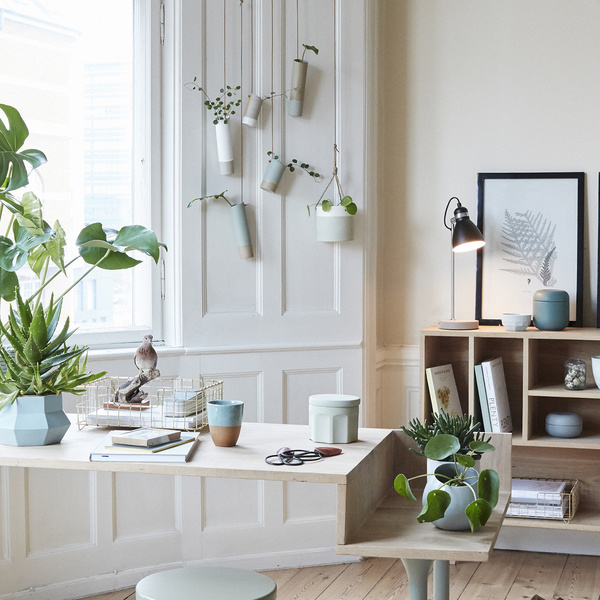 planten hangen in huis